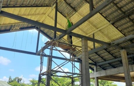 บ้านพักอาศัย ล้านนาเลควิว เชียงใหม่
