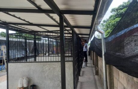 พ่นโฟมกันความร้อน บ้านพักพิงสุนัข เพชรบุรี (7)