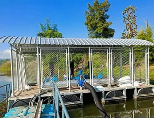 ฉีดโฟมทุ่นลอยน้ำ คืออะไร? ดีไหม ใช้ทำอะไรได้บ้าง และควรเลือกแบบไหนให้เหมาะกับงาน